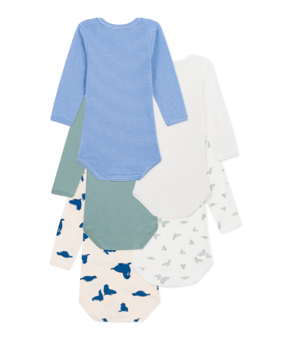 5 BODIES US ML – Image 2