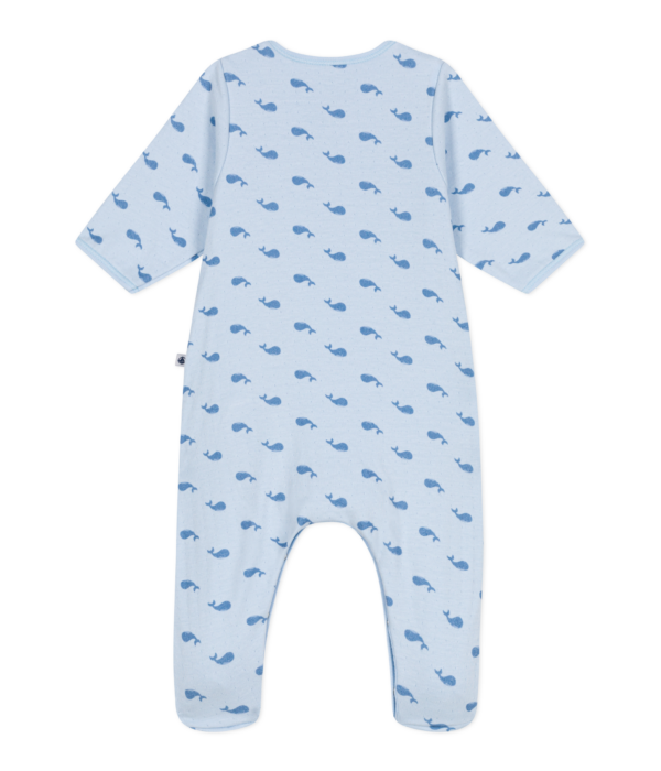BODYJAMA – Image 2