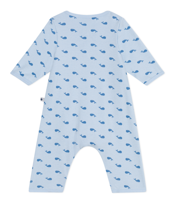 BODYJAMA – Image 2