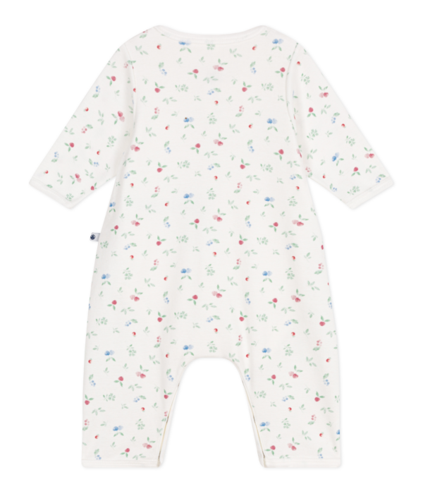 BODYJAMA – Image 2