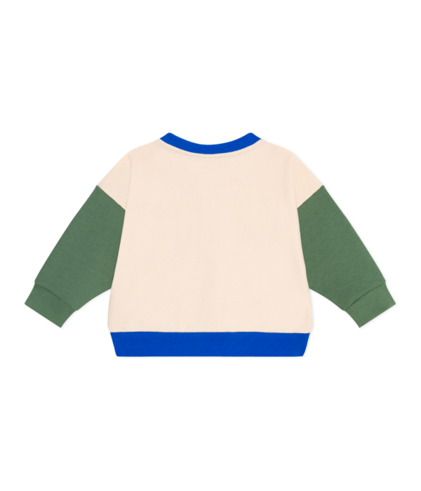 TEDDY – Image 2