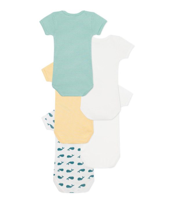 5 BODIES US MC – Image 2