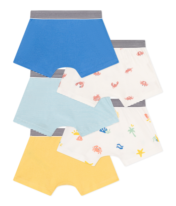 5 BOXERS – Image 2