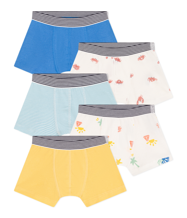 5 BOXERS