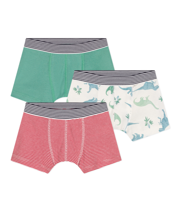 3 BOXERS