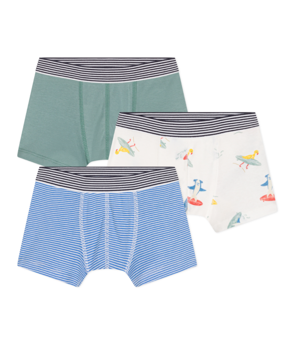 3 BOXERS