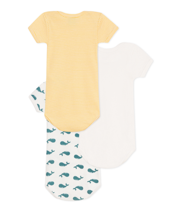 3 BODIES US MC – Image 2