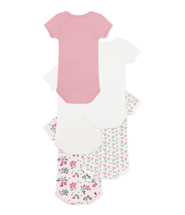5 BODIES US MC – Image 2