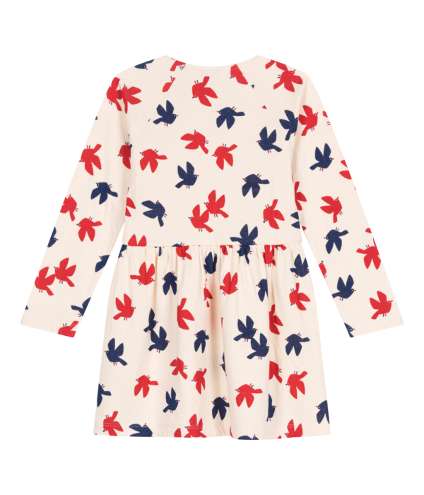 ROBE ML – Image 2