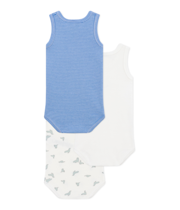 3 BODIES SM – Image 2