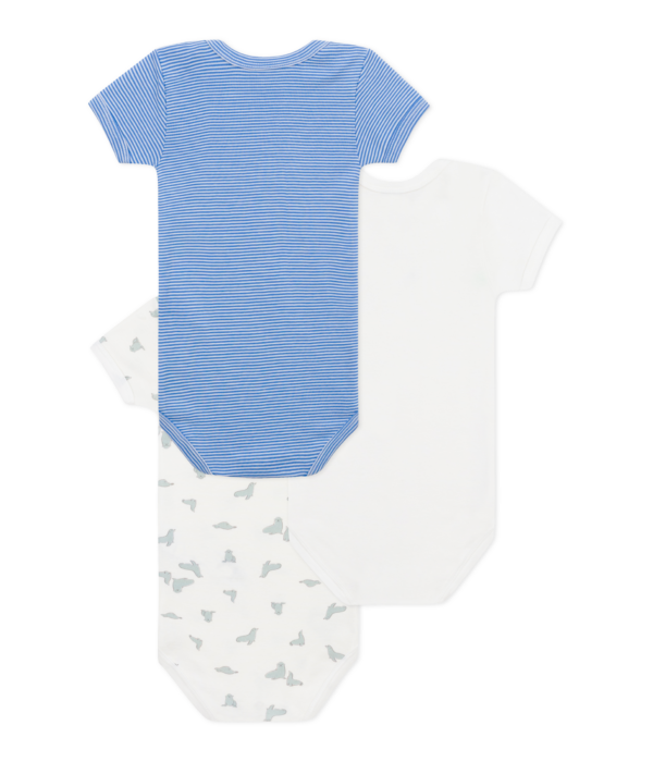 3 BODIES US MC – Image 2