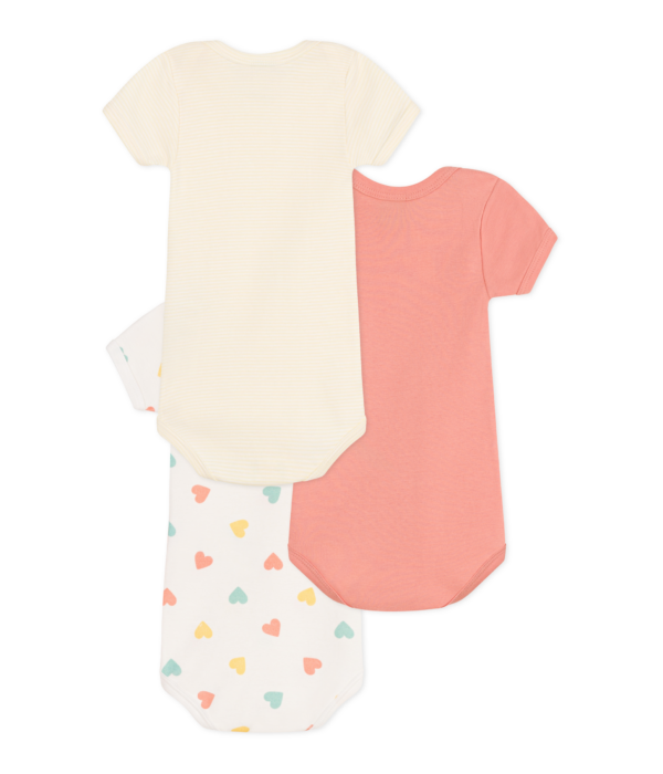 3 BODIES US MC – Image 2