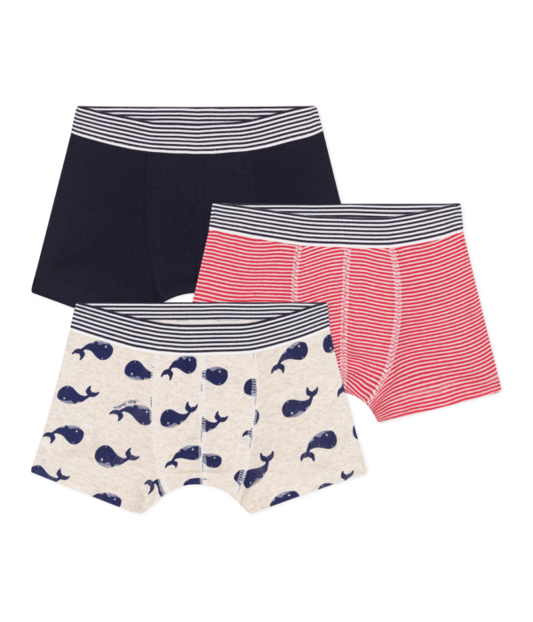 3 BOXERS