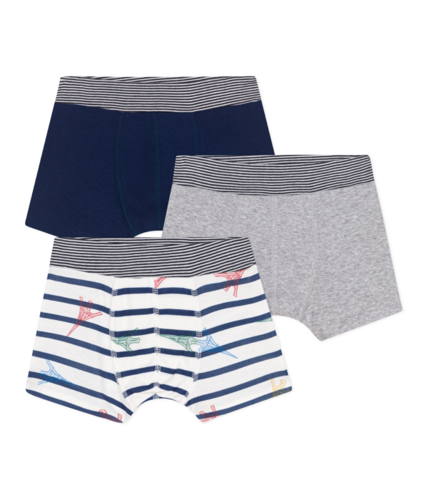 3 BOXERS