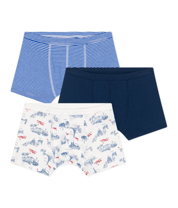 3 BOXERS