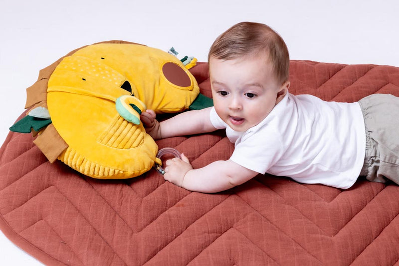 Coussin d'activités - Mr. Lion – Image 4