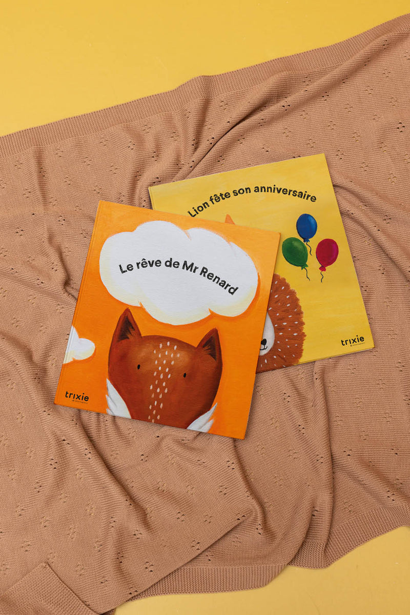 Livre de conte - Le Lion fête son anniversaire FR – Image 4