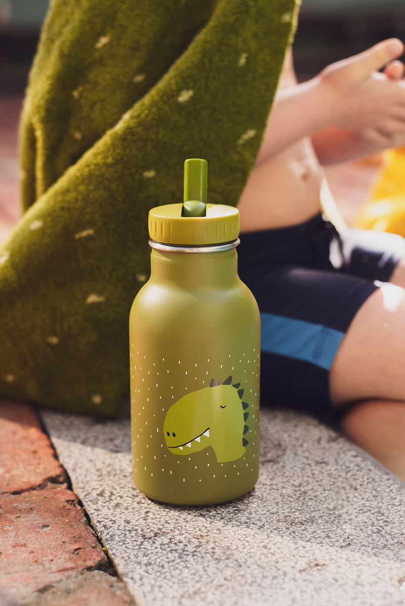 Gourde isotherme 350 ml - Mr. Dino – Image 3